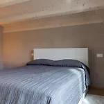 Paola Maison 3